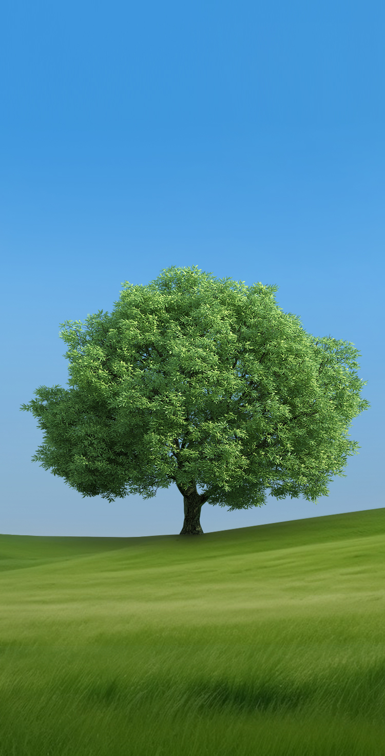 中国·7790必发集团(股份)有限公司-官方网站